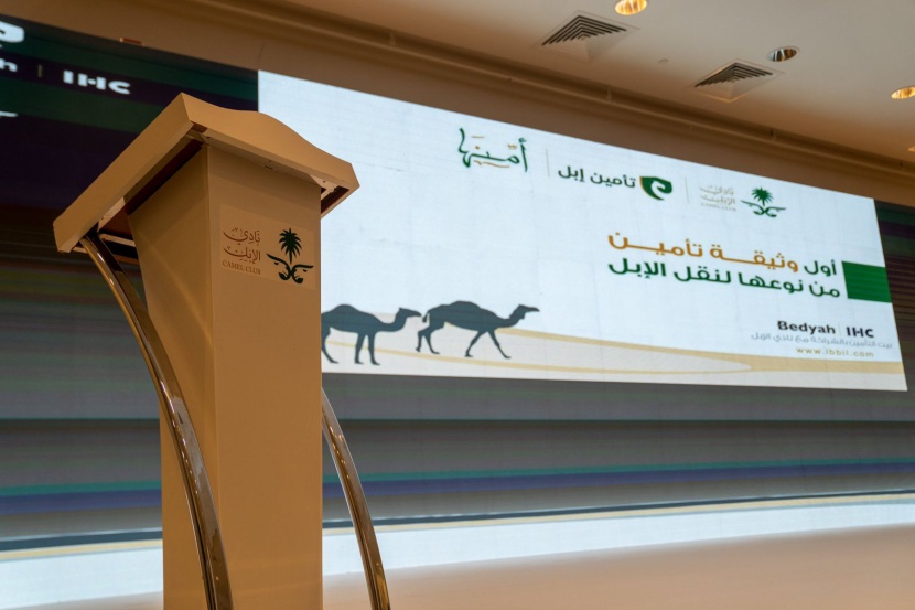 إطلاق أول منصة تأمين لنقل الإبل .. للحد من المخاطر والحفاظ على أموال الملاك