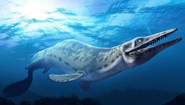 الصين .. اكتشاف ديناصور بحري عاش منذ 250 مليون عام