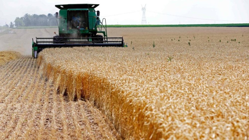 مزارعو أمريكا الجنوبية يسعون إلى تفادي أزمة الغذاء العالمية