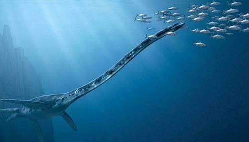 اكتشاف حيوان بحري عمره نصف مليار عام