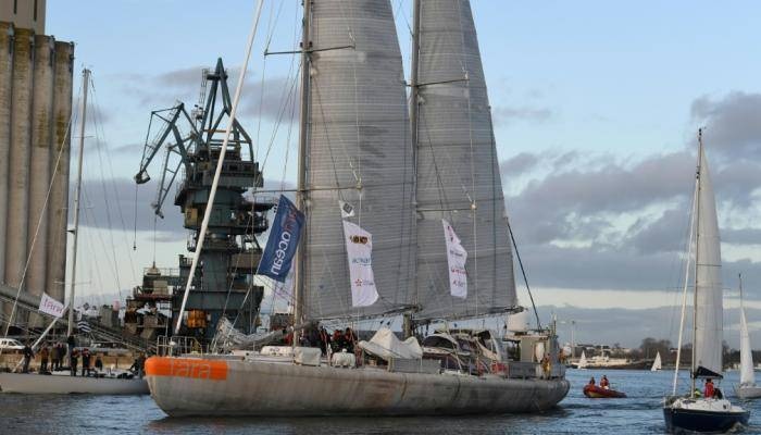 «تارا» .. سفينة أبحاث علمية تدرس الكائنات البحرية