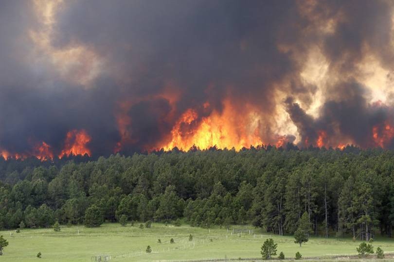 الحرائق دمرت غابات تعادل مساحة 10 ملاعب لكرة القدم