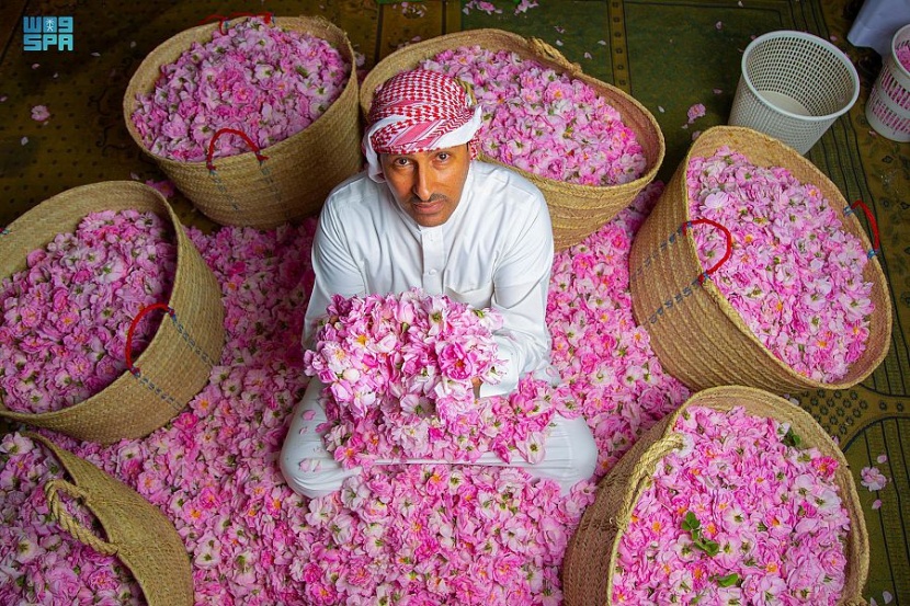 بساتين الورد الطائفي فضاء فسيح ومتنفس لإفطار رمضاني مختلف
