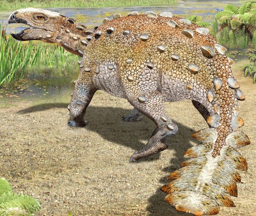 العثور على ديناصور اختفى قبل 66 مليون عام