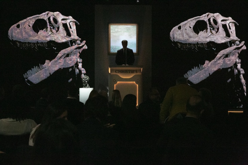 رقم قياسي .. بيع هيكل عظمي لديناصور بـ 12 مليون دولار