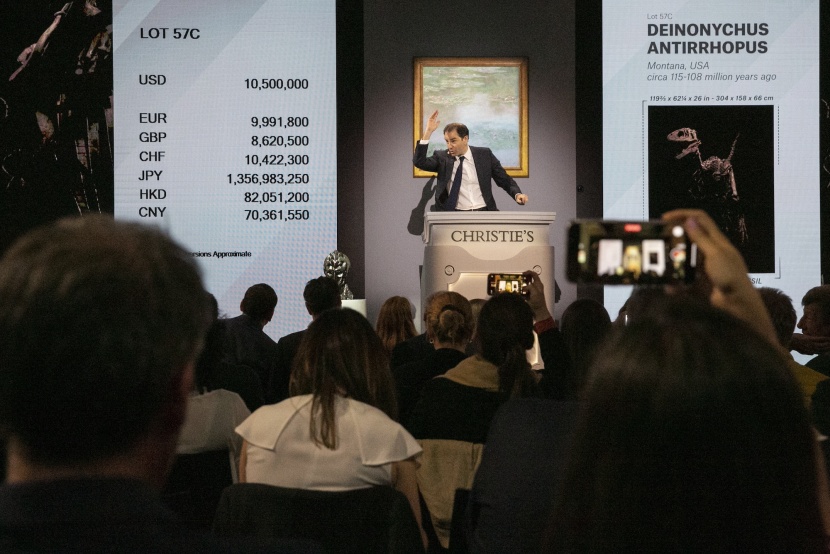 رقم قياسي .. بيع هيكل عظمي لديناصور بـ 12 مليون دولار