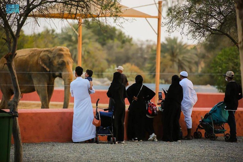 «جدة جنغل» تستقبل زوارها وسط أدغال من الحيوانات والطيور