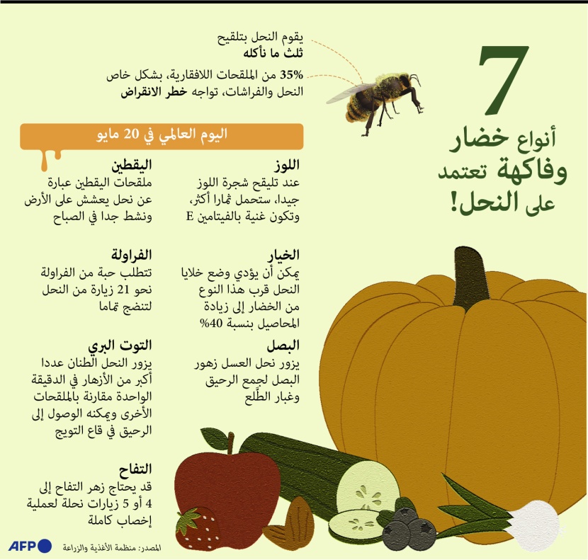 4 فوائد اقتصادية يقدمها نحل العسل للبشرية.. يقوم بتلقيح 33.3% من طعام الإنسان