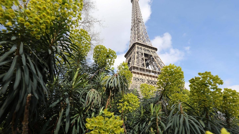 قطع أشجار عند أقدام برج إيفل يثير جدلا