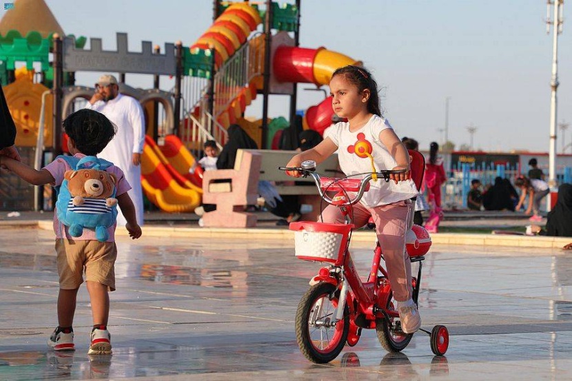 الأجواء الشمالية