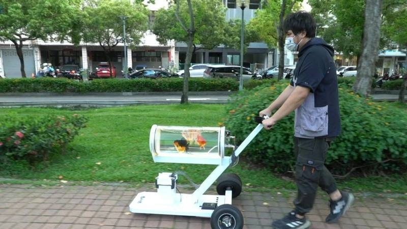 تايواني يخترع عربة متحركة لأسماكه للتنزه بها