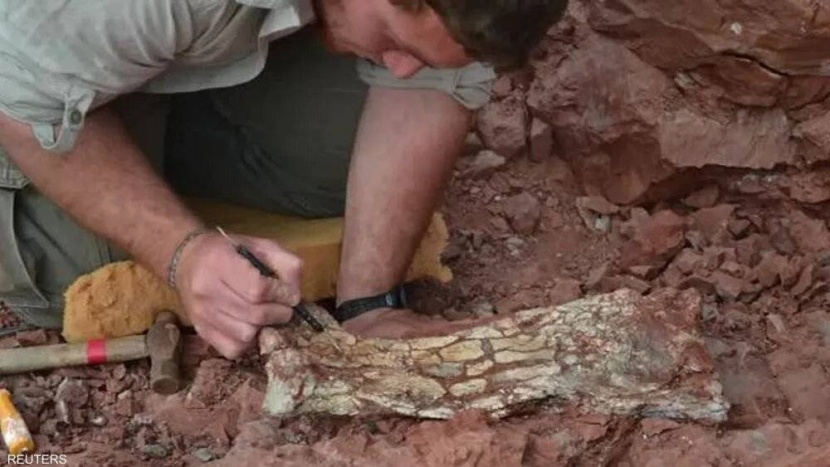 «تنين الموت» .. زواحف سبقت الطيور بالتحليق قبل 86 مليون عام