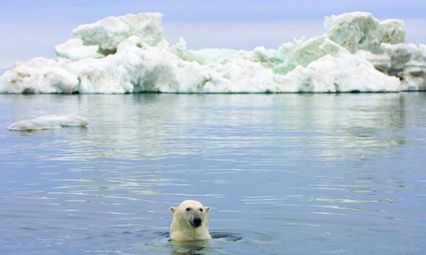 المحيط المتجمد الشمالي .. سياحة مستدامة في الطبيعة النقية