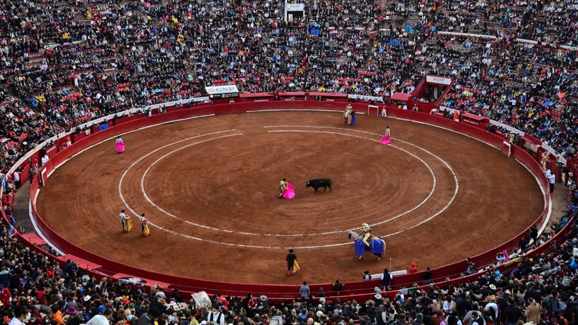 قرار قضائي يحظر «مصارعة الثيران» في المكسيك