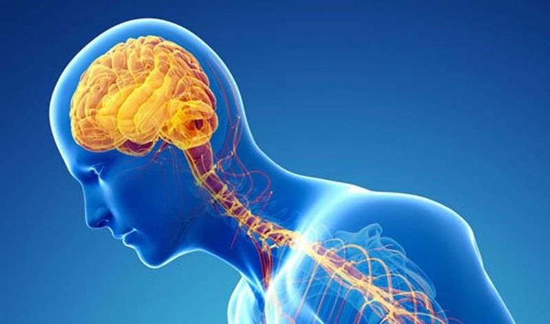 قبل اليوم العالمي لـ «التصلب اللويحي» .. بارقة أمل لعلاج المرض