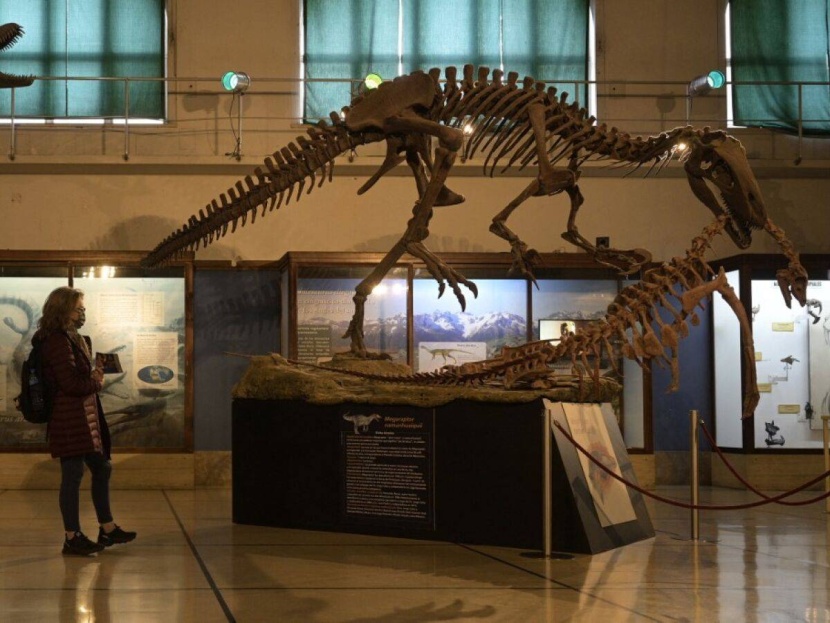 اكتشاف أكبر ديناصور في الأرجنتين .. عاش قبل 70 مليون عام