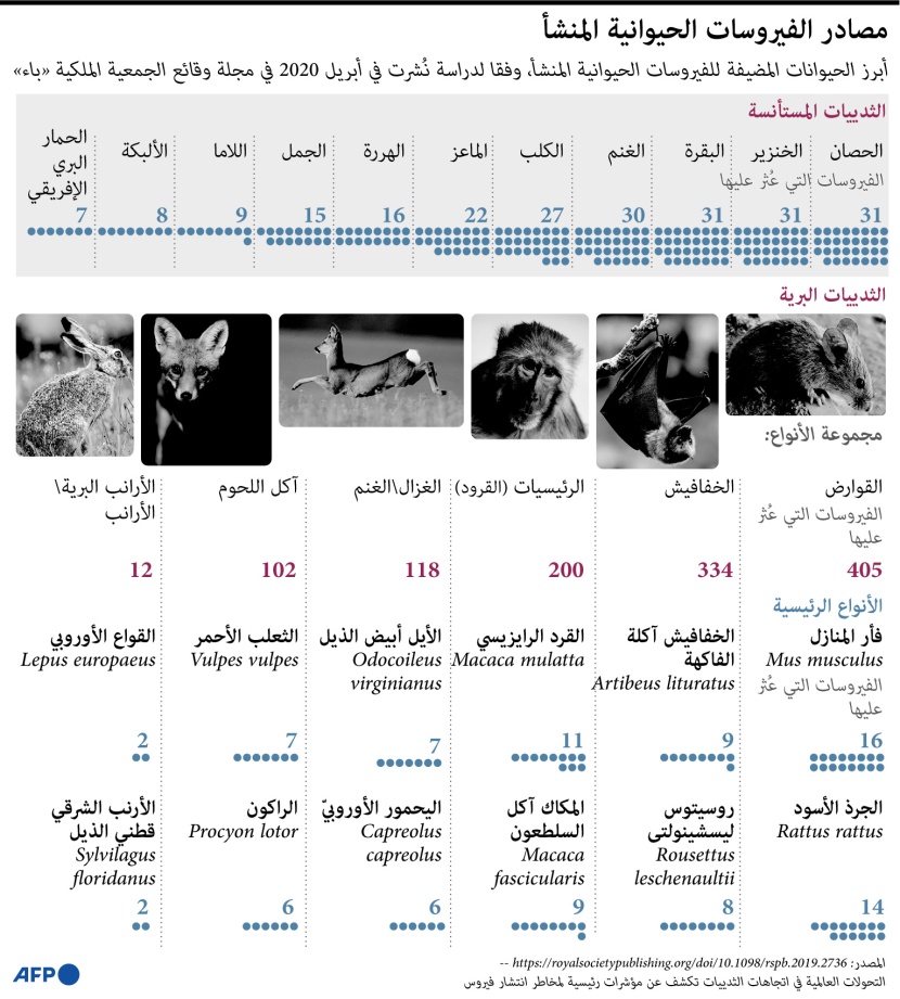 أبرز مصادر الفيروسات الحيوانية المنشأ