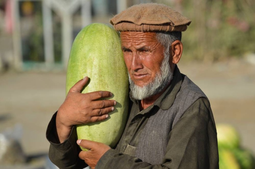 أفغاني يحمل بطيخا