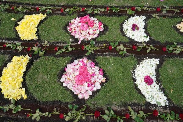 بولندا .. سجادات الورد تقليد تتوارثه الأجيال