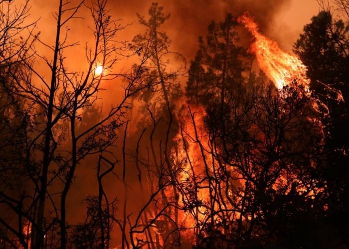 البرازيل .. حرائق قياسية في "غابات الأمازون" خلال مايو