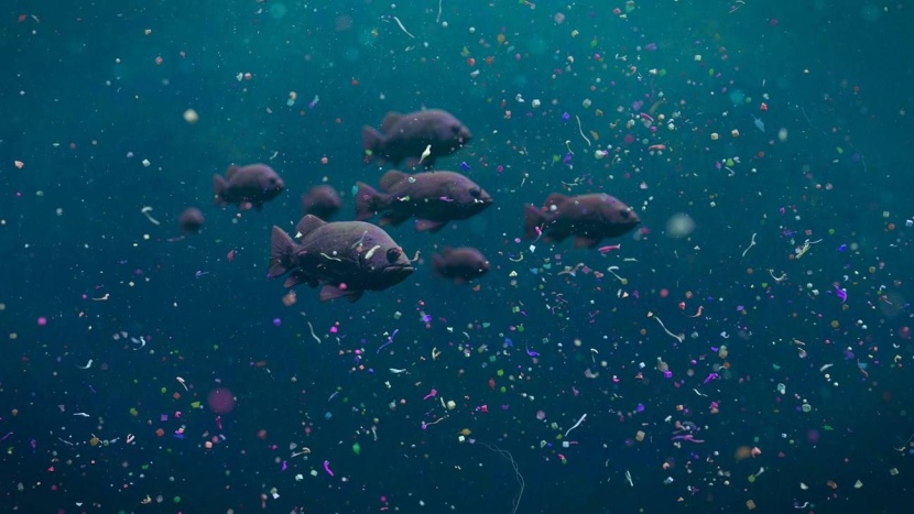 روبوتات تجمع البلاستيك لتنظيف المحيطات