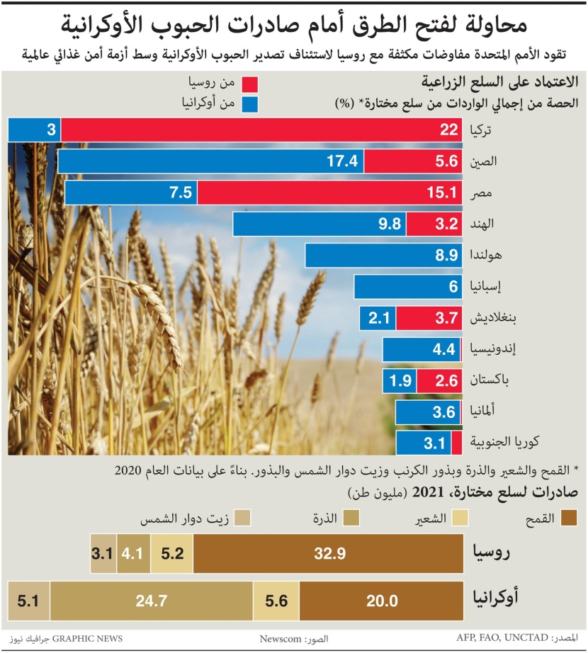 وسط أزمة غذاء عالمية.. العالم يحاول فتح الطرق أمام صادرات الحبوب الأوكرانية