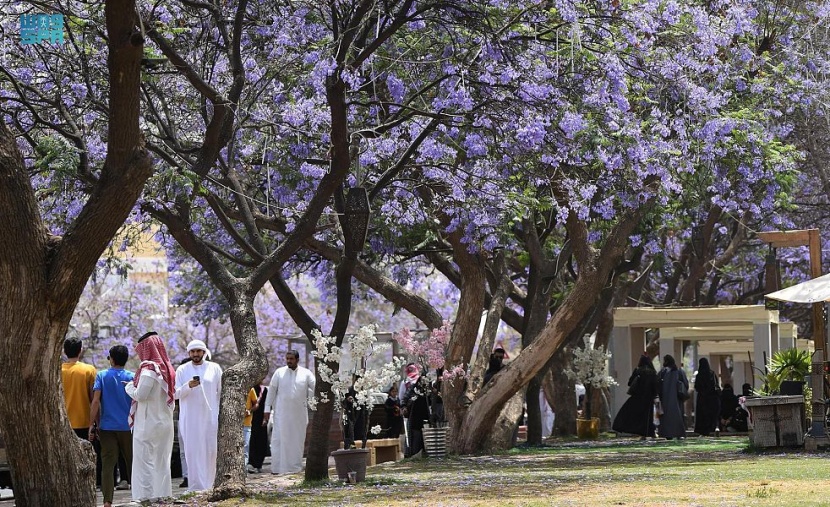 صيف عسير 2022 يستقبل الزوار بالغيم والمطر
