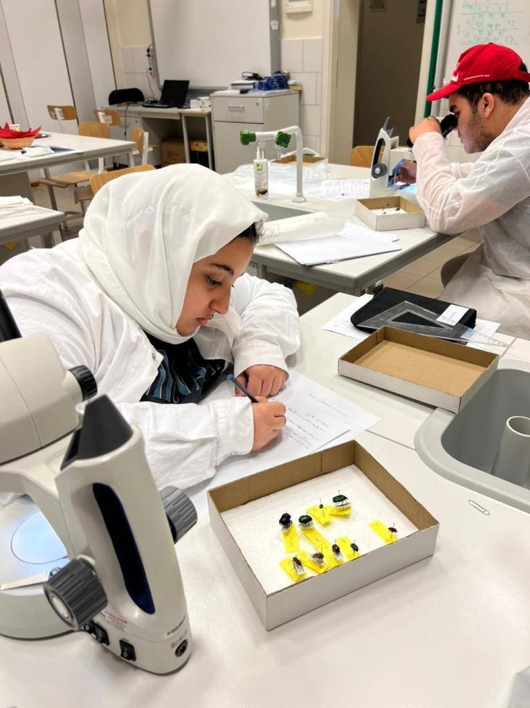 «موهبة» .. انطلاق مرحلة التسجيل في الأولمبياد الوطني للإبداع العلمي