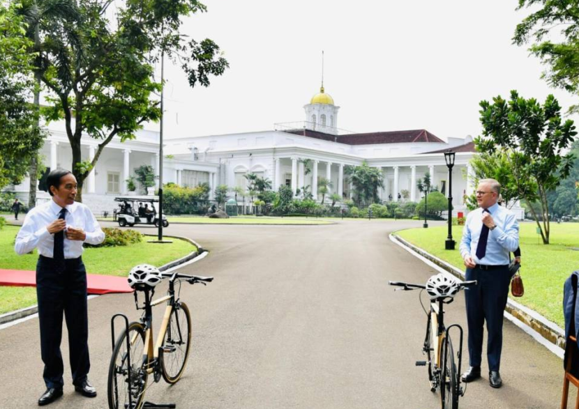 دراجة من الخيزران رمز للتقارب الدبلوماسي