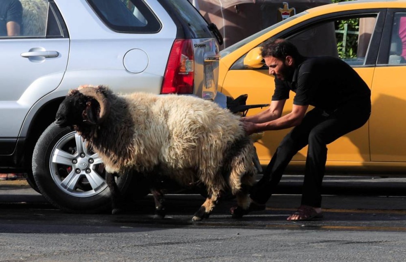 عيد الأضحى