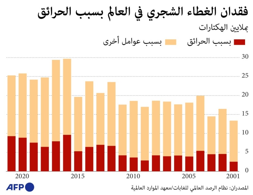 أسباب فقدان الغطاء الشجري في العالم 