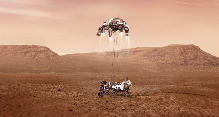 البرسيم .. نبتة قادرة على النمو في المريخ