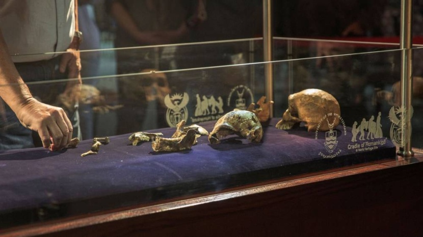 هيكل عظمي عمره 1000 عام يحمل متلازمة وراثية نادرة