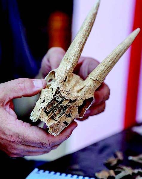 جزر فرسان .. اكتشافات أثرية تعود إلى القرنين الثاني والثالث الميلاديين