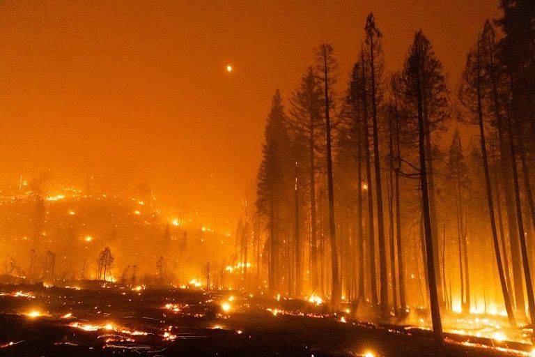 الأمطار تخمد حرائق كاليفورنيا