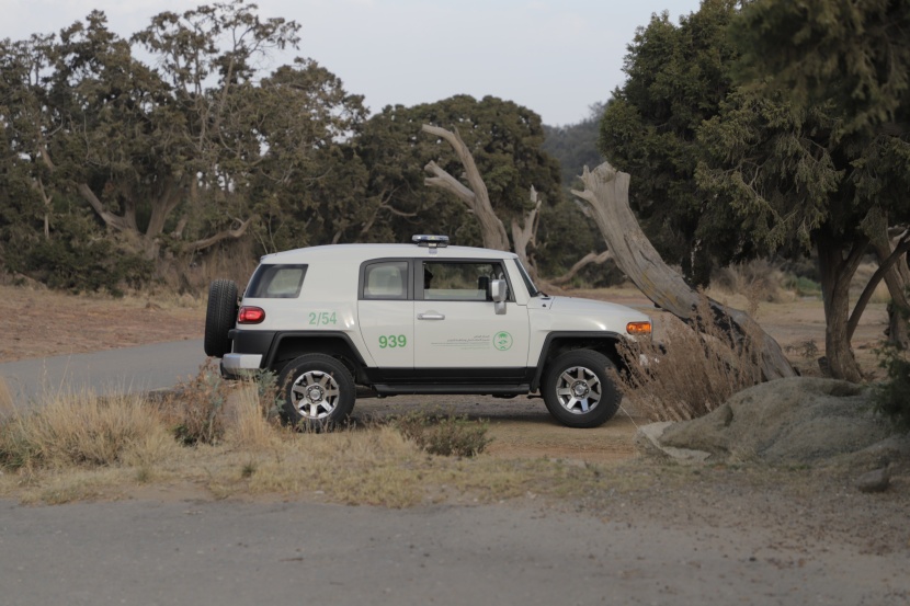 تسجيل 740 مخالفة ضد مخالفي لوائح "الغطاء النباتي" في مناطق المملكة  