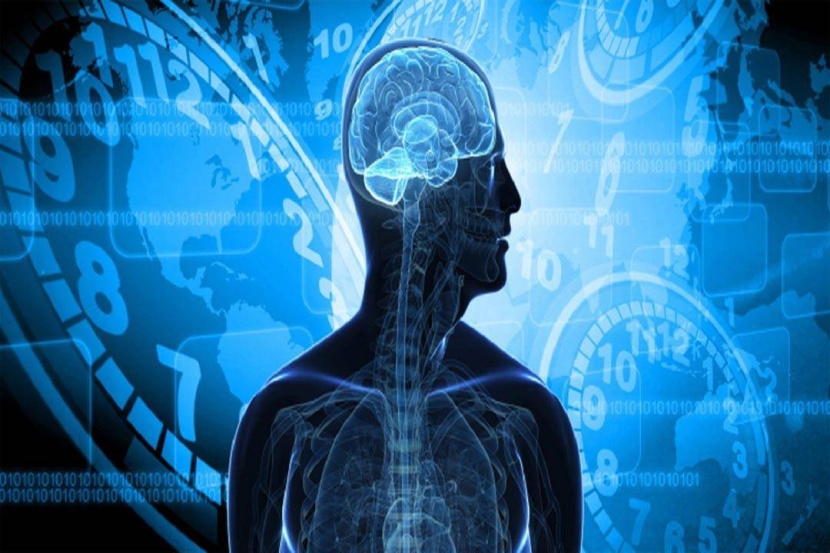 الساعة البيولوجية .. أداة فاعلة في مواجهة الأمراض