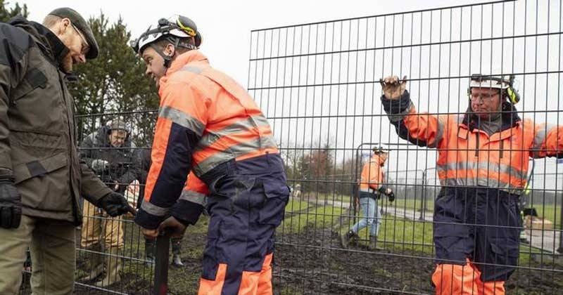 حمى الخنازير الإفريقية تتمدد في أوروبا .. 71 ألف حالة