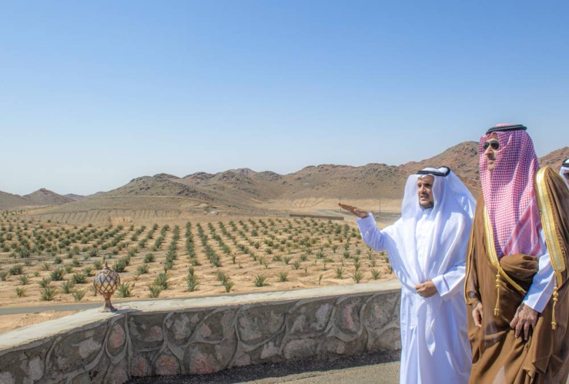 أمير المدينة المنورة يتفقد مشروع وقف النخيل لرعاية الأيتام