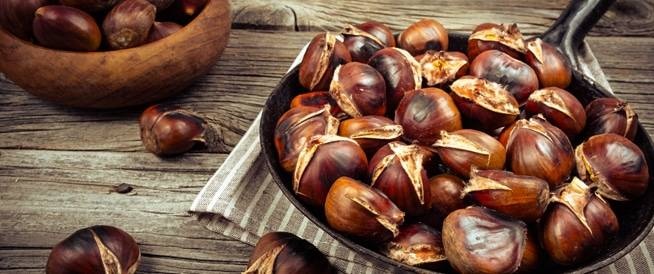 الأمراض تقضي على «الكستناء» الأمريكية