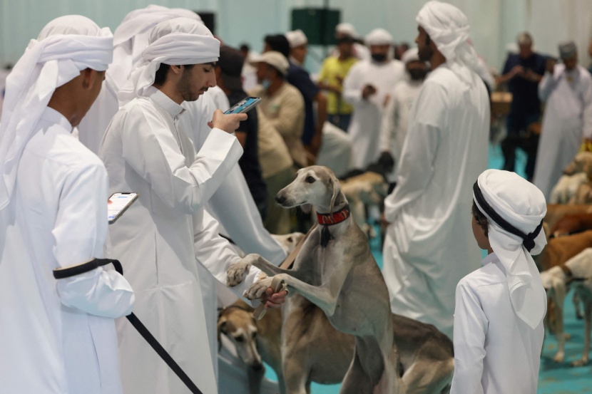 صور من معرض أبوظبي الدولي للصيد والفروسية