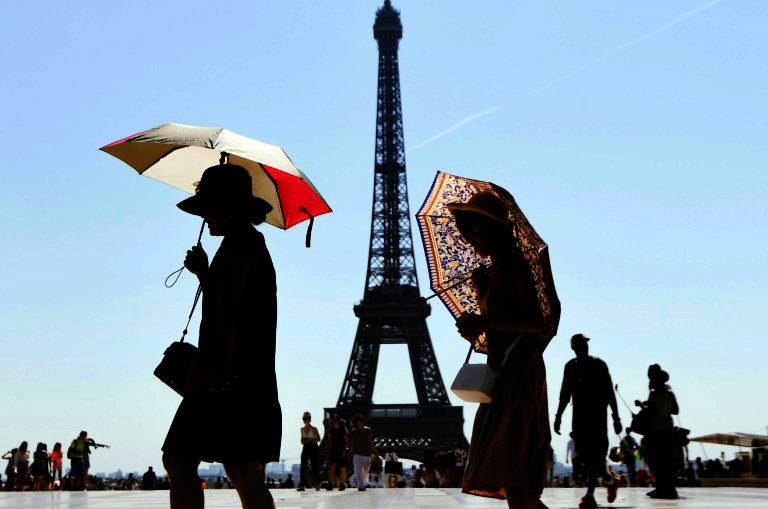 لحماية 20 شجرة .. باريس تتراجع عن أعمال بناء أسفل برج إيفل