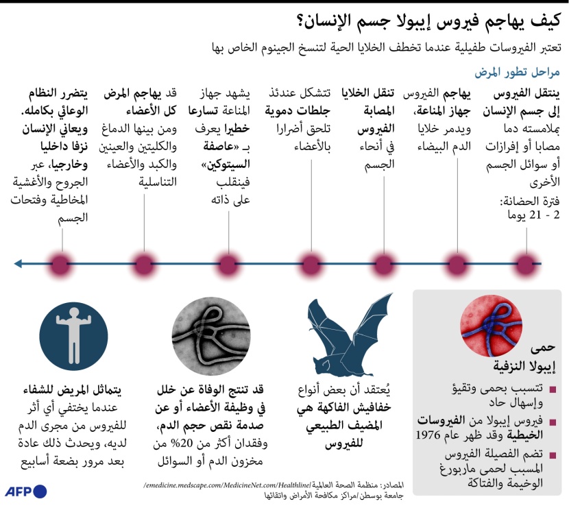 كيف يهاجم فيروس إيبولا جسم الإنسان؟