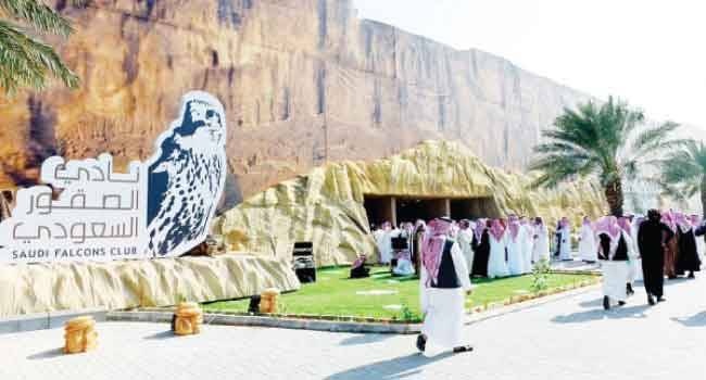 اختتام منافسات نادي الصقور بعد 6 أسابيع من السباقات