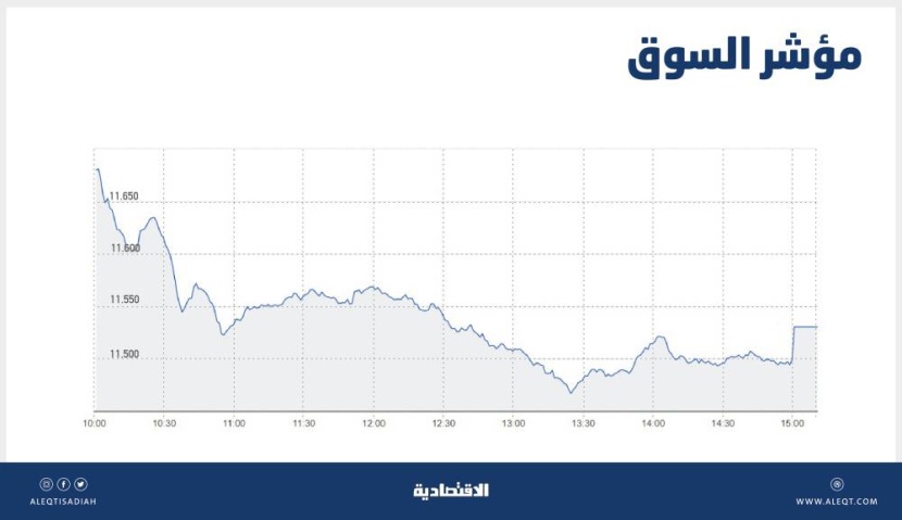 الأسهم السعودية تهبط 1.2 % بضغط الشركات القيادية .. تراجع «بترورابغ» و«معادن» بالنسب القصوى