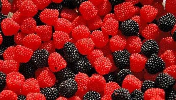 ما علاقة التوت البري بالشيخوخة؟