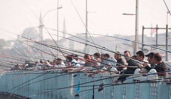 الصيد الجائر يقلل أسماك مضيق البوسفور