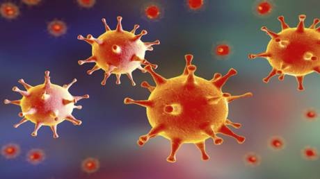 «هانتا» .. فيروس جديد شبيه بأعراض الإنفلونزا