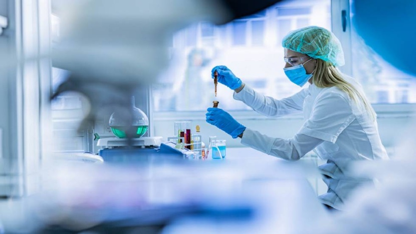 علماء يطورون دواء أصغر من النملة  لعلاج الأورام السرطانية