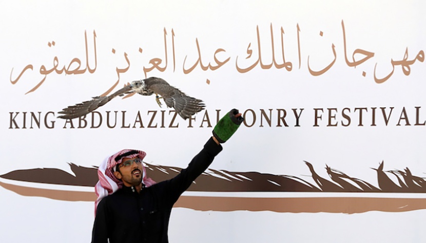 مهرجان الملك عبدالعزيز للصقور يستحدث شوطين لـ«سيف الملك» بجوائز تبلغ 1.8 مليون ريال